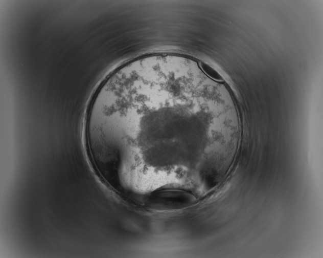 X0000093261245200710101453