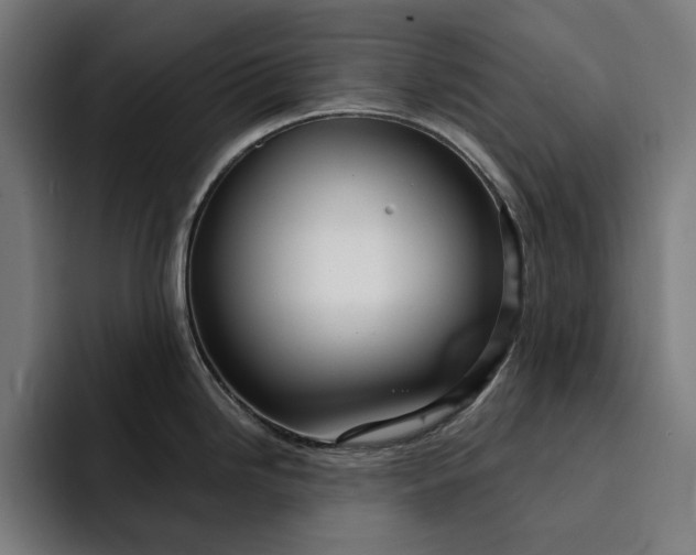 X0000093261246200710101453