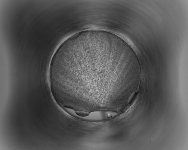 X0000093261247200710101453