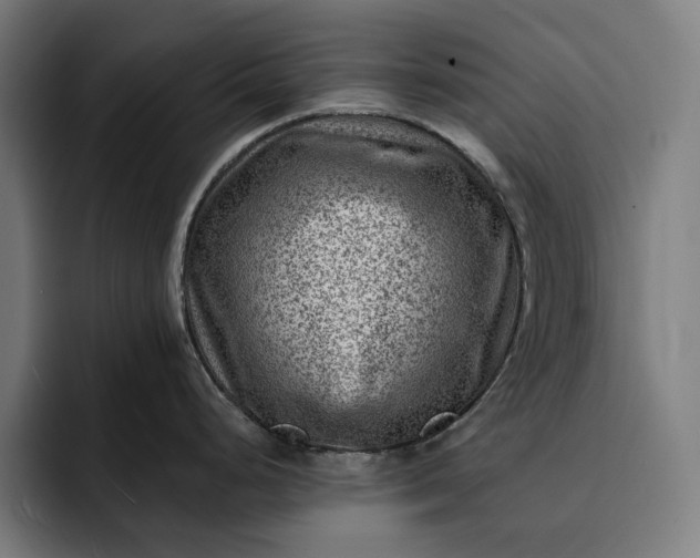 X0000093261248200710101453