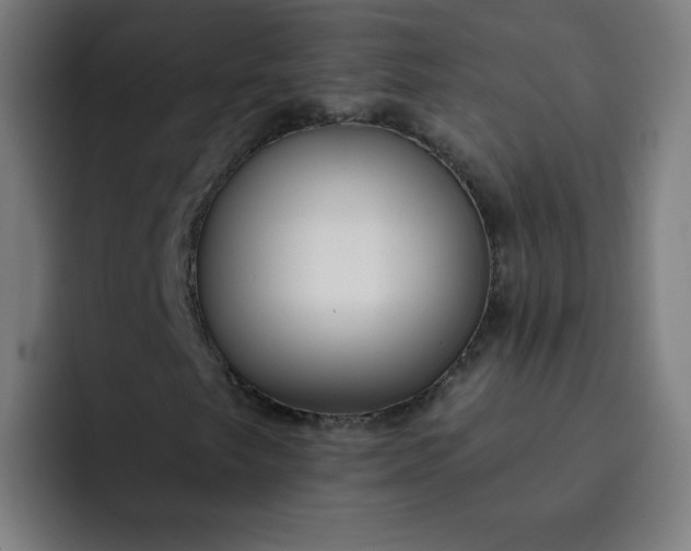 X0000093261249200710101453