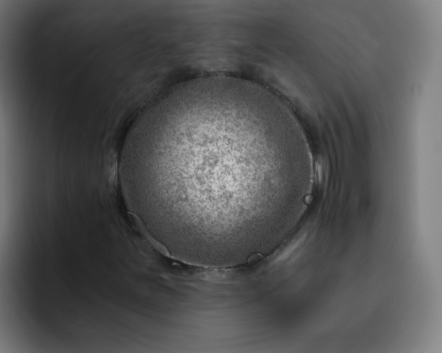 X0000093261251200710101452