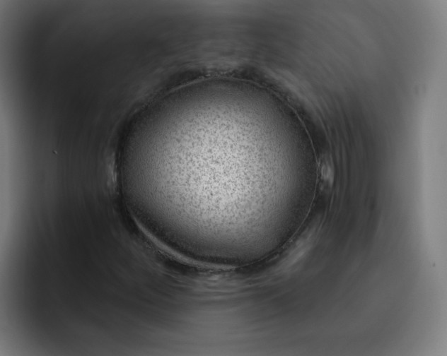 X0000093261252200710101452