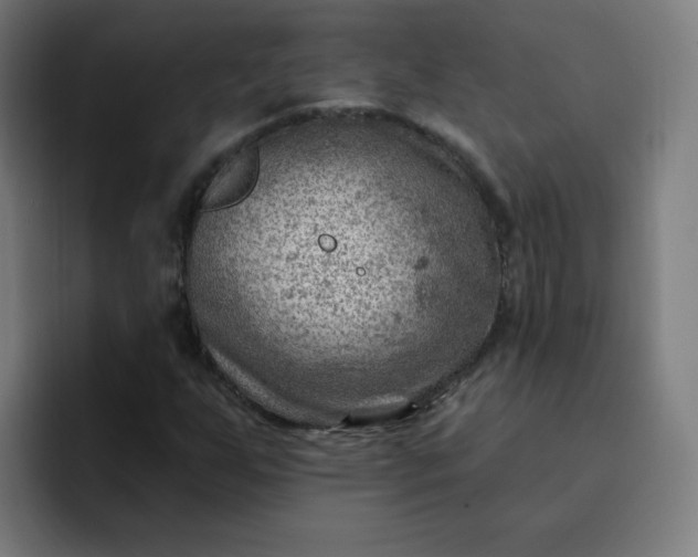 X0000093261255200710101452