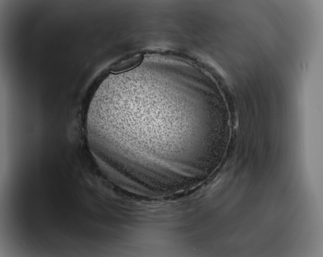 X0000093261256200710101452