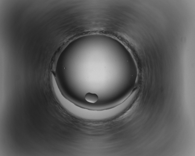 X0000093261257200710101452