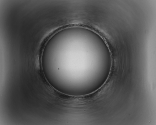 X0000093261262200710101452