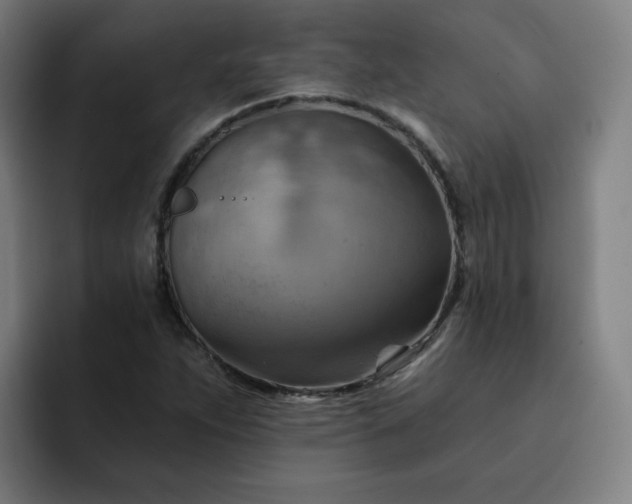 X0000093261263200710101452