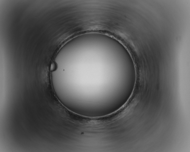 X0000093261265200710101452