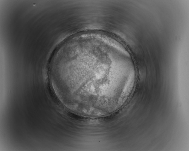 X0000093261266200710101452