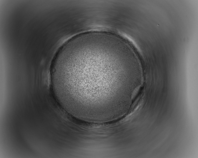 X0000093261267200710101452