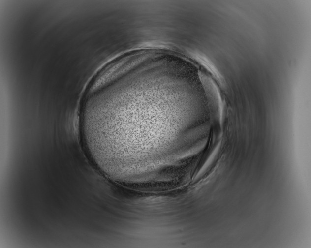 X0000093261268200710101452