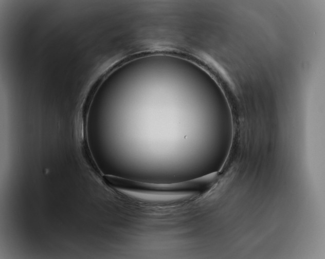 X0000093261269200710101452