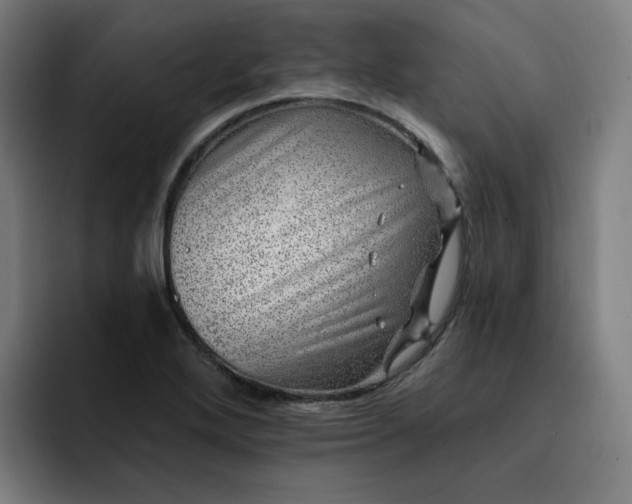 X0000093261272200710101452