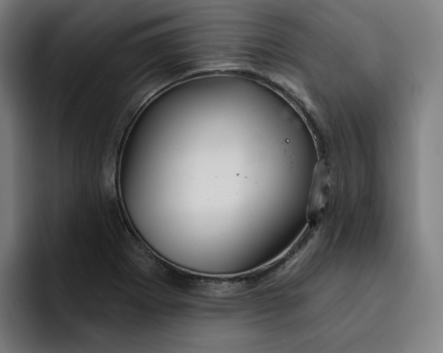 X0000093261273200710101452