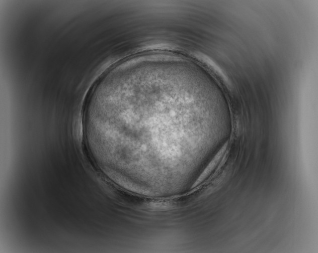 X0000093261274200710101452