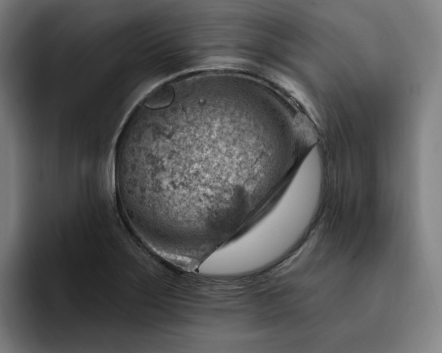 X0000093261275200710101452