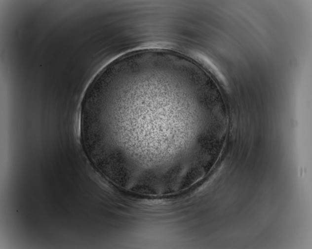 X0000093261276200710101452