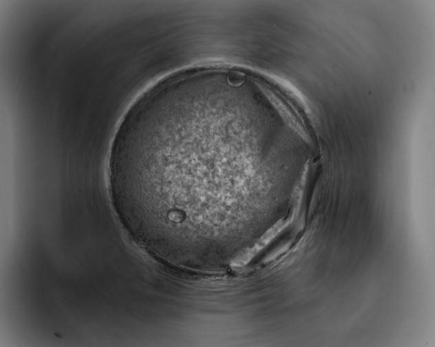 X0000093261279200710101452