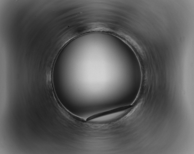 X0000093261281200710101452