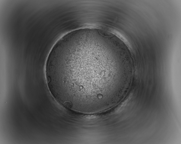 X0000093261283200710101452