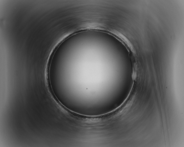 X0000093261285200710101452