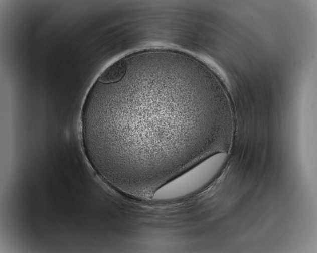 X0000093261287200710101452