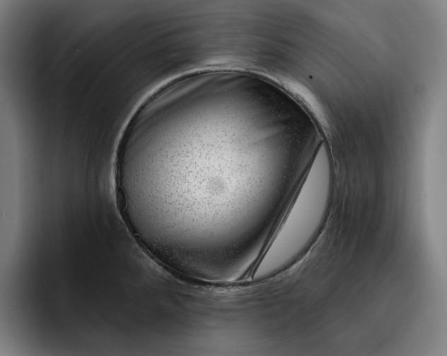 X0000093261288200710101452