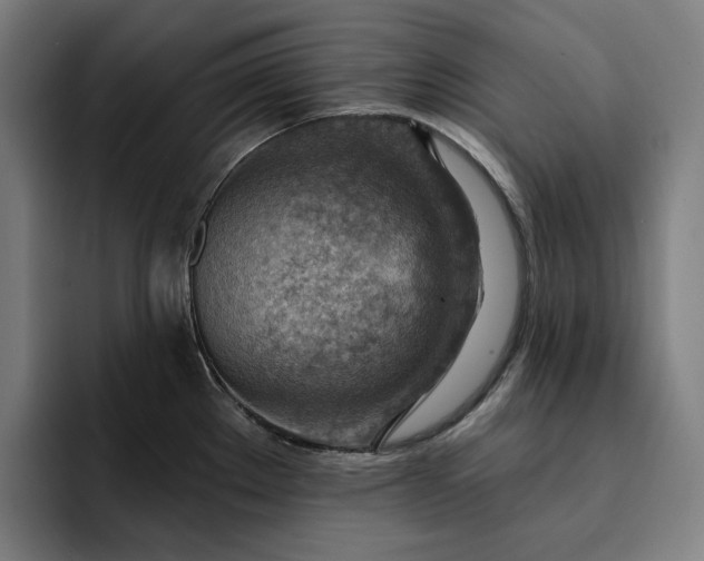 X0000093261289200710101452