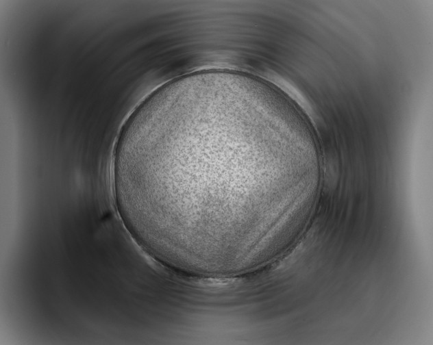 X0000093261290200710101452