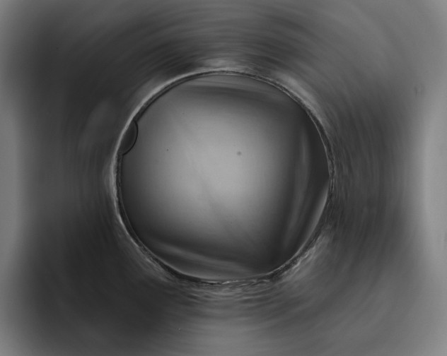 X0000093261291200710101452