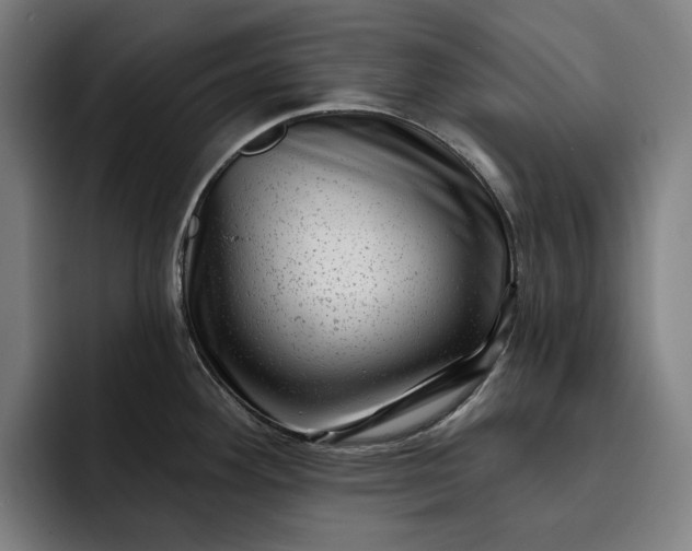 X0000093261292200710101452