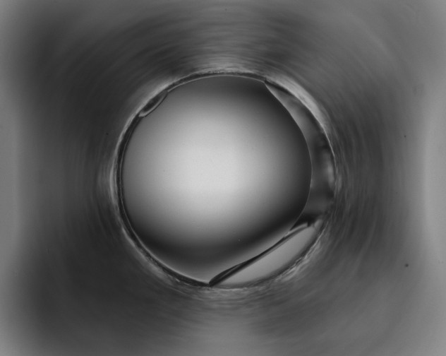 X0000093261293200710101452