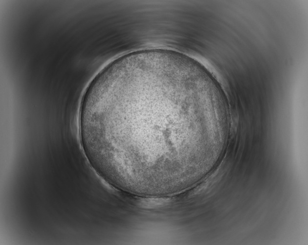 X0000093261294200710101452