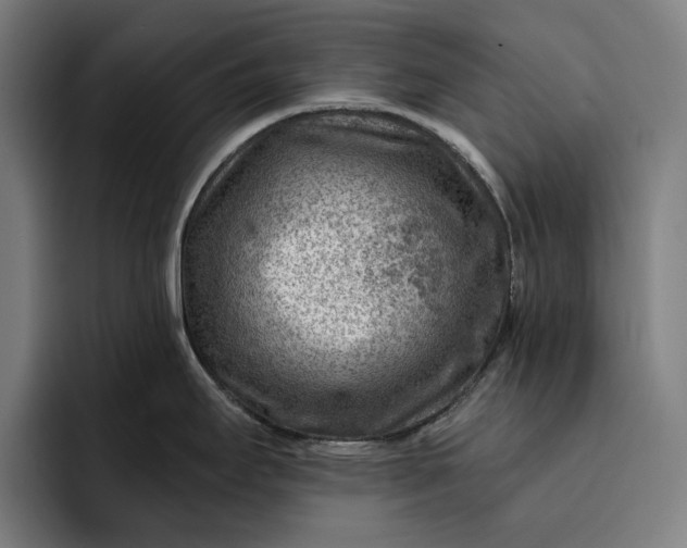 X0000093261295200710101452