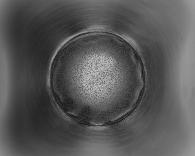 X0000093261296200710101452