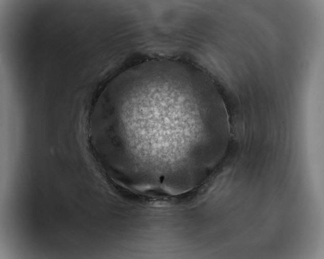 X0000093261297200710101451