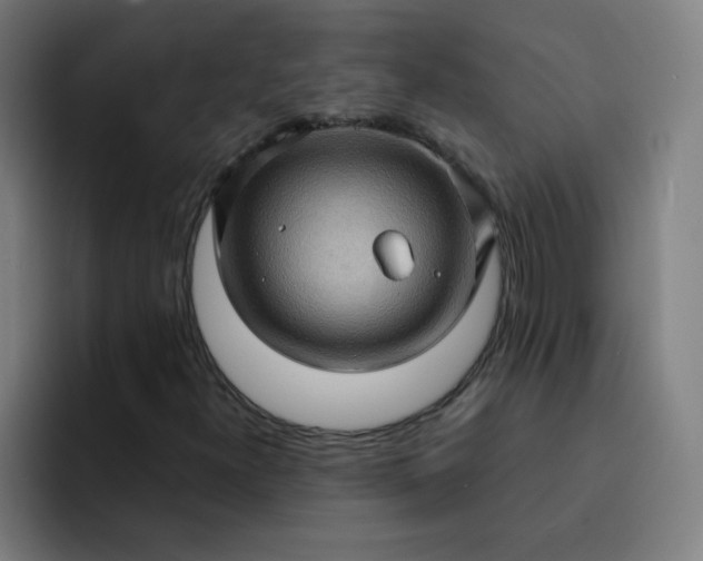 X0000093261300200710101451