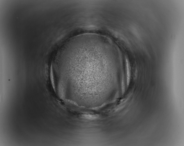 X0000093261301200710101451