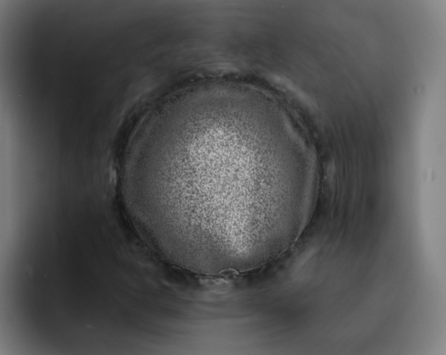 X0000093261302200710101451