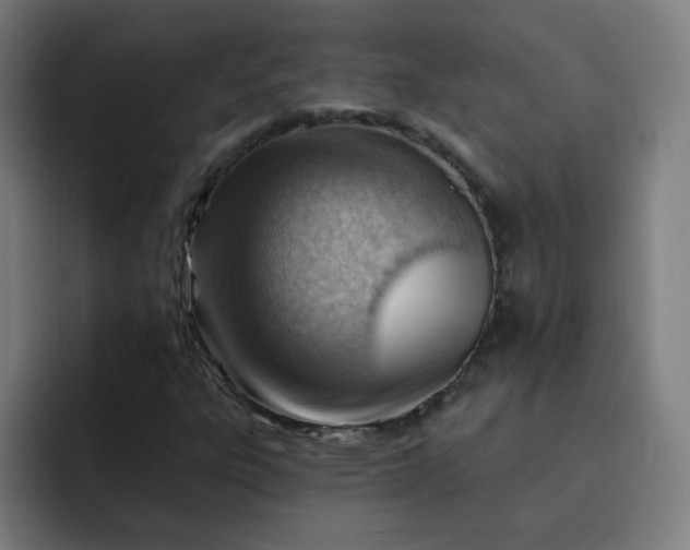 X0000093261303200710101451