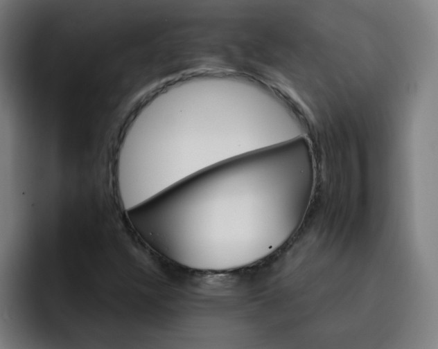 X0000093261304200710101451