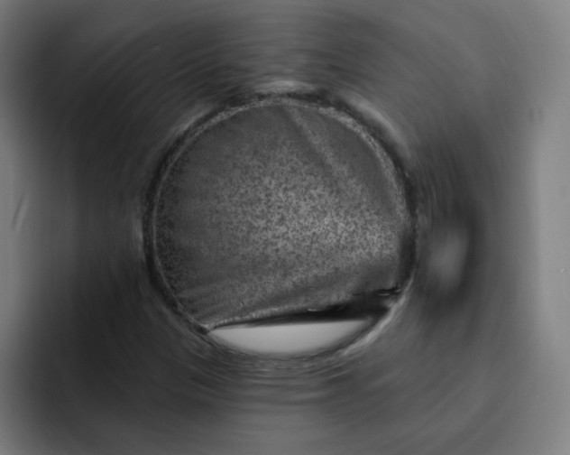 X0000093261305200710101451