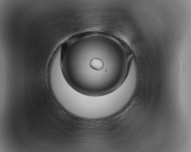 X0000093261308200710101452