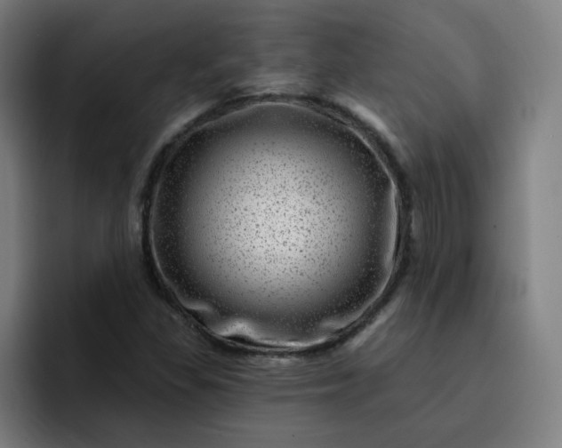 X0000093261309200710101452