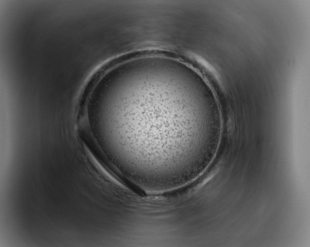 X0000093261310200710101452