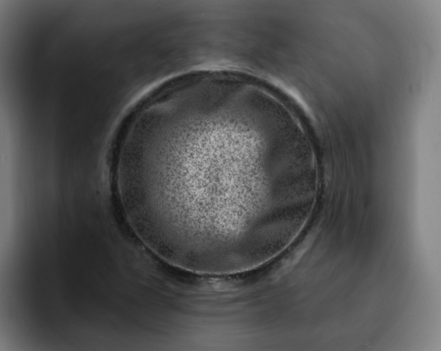 X0000093261311200710101452