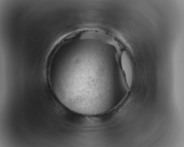 X0000093261312200710101452