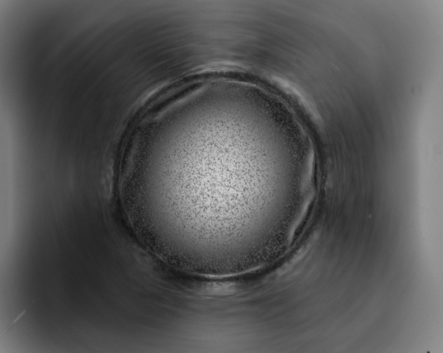 X0000093261313200710101452