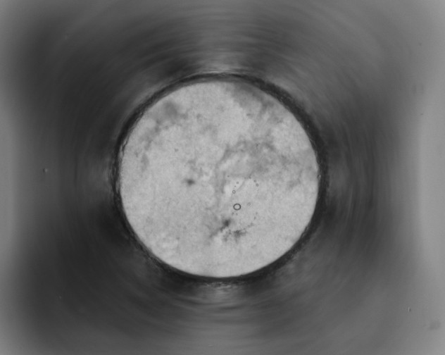 X0000093261314200710101452